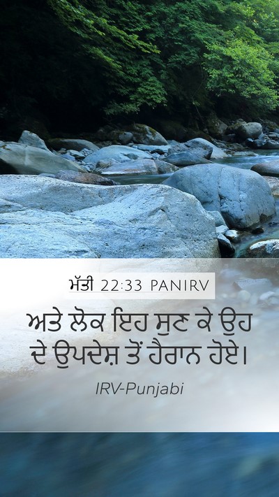 ਮੱਤੀ 22:33 PANIRV Bible Verse Image