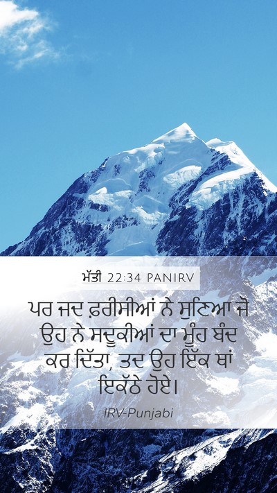 ਮੱਤੀ 22:34 PANIRV Bible Verse Image