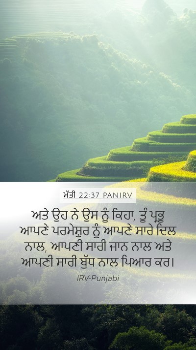 ਮੱਤੀ 22:37 PANIRV Bible Verse Image