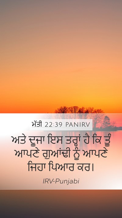 ਮੱਤੀ 22:39 PANIRV Bible Verse Image
