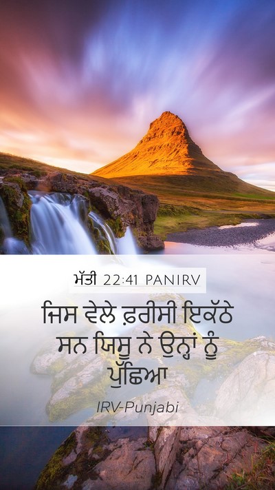 ਮੱਤੀ 22:41 PANIRV Bible Verse Image