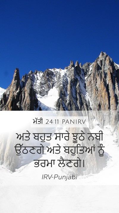 ਮੱਤੀ 24:11 PANIRV Bible Verse Image