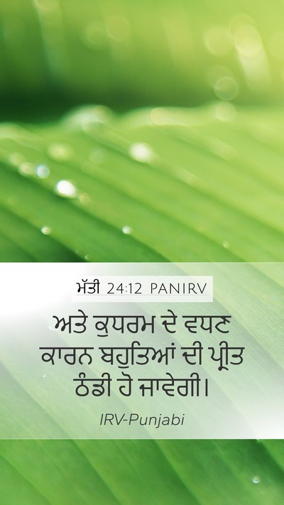 ਮੱਤੀ 24:12 PANIRV Bible Verse Image