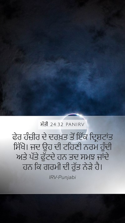 ਮੱਤੀ 24:32 PANIRV Bible Verse Image