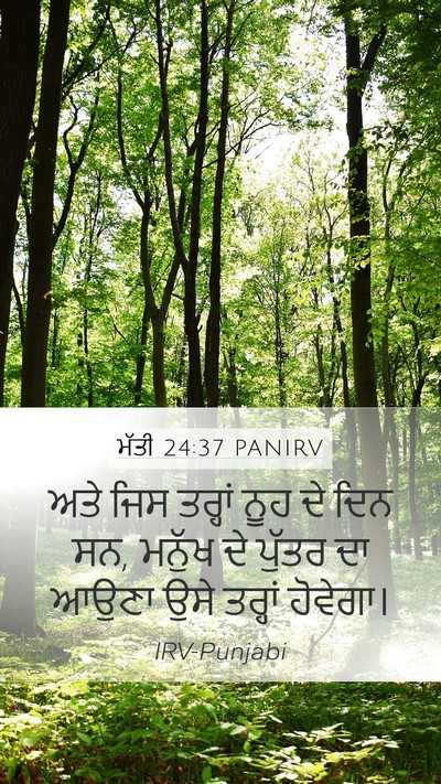 ਮੱਤੀ 24:37 PANIRV Bible Verse Image
