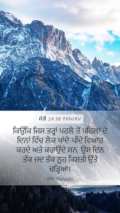 ਮੱਤੀ 24:38 PANIRV Bible Verse Image