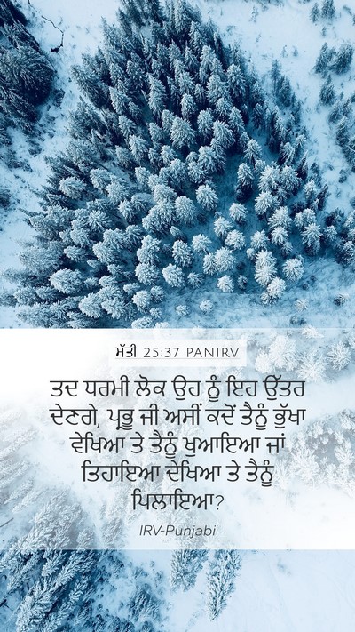 ਮੱਤੀ 25:37 PANIRV Mobile Phone Wallpaper - ਤਦ ਧਰਮੀ ਲੋਕ ਉਹ ਨੂੰ - Mobile Bible Verse Wallpaper
