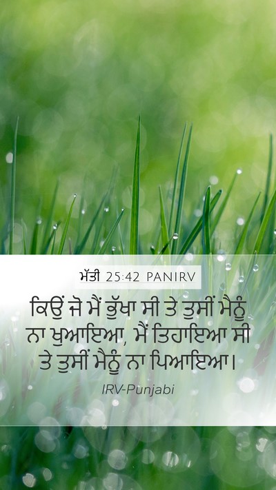 ਮੱਤੀ 25:42 PANIRV Bible Verse Image
