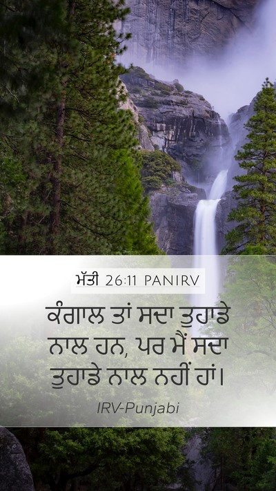 ਮੱਤੀ 26:11 PANIRV Bible Verse Image
