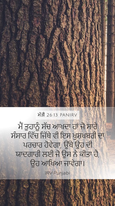 ਮੱਤੀ 26:13 PANIRV Mobile Phone Wallpaper - ਮੈਂ ਤੁਹਾਨੂੰ ਸੱਚ - Mobile Bible Verse Wallpaper