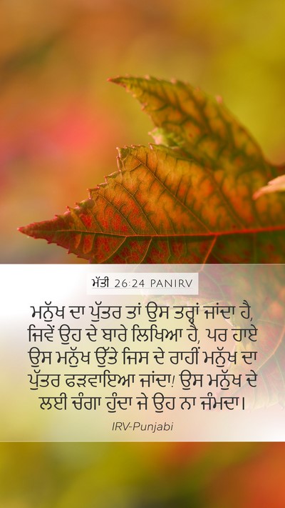 ਮੱਤੀ 26:24 PANIRV Bible Verse Image