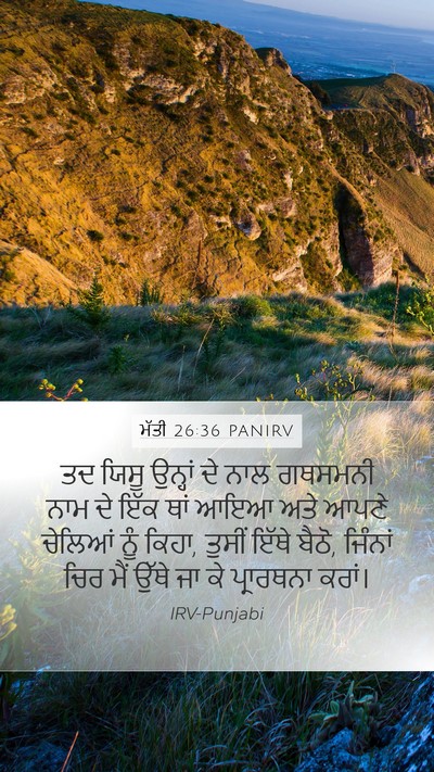 ਮੱਤੀ 26:36 PANIRV Bible Verse Image