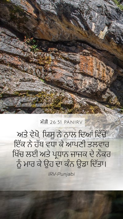 ਮੱਤੀ 26:51 PANIRV Bible Verse Image