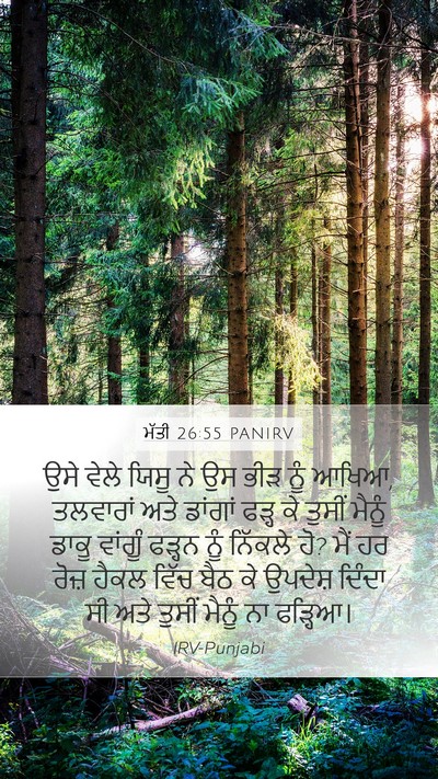 ਮੱਤੀ 26:55 PANIRV Bible Verse Image