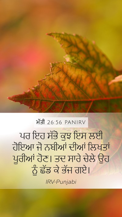 ਮੱਤੀ 26:56 PANIRV Mobile Phone Wallpaper - ਪਰ ਇਹ ਸੱਭੋ ਕੁਝ ਇਸ - Mobile Bible Verse Wallpaper