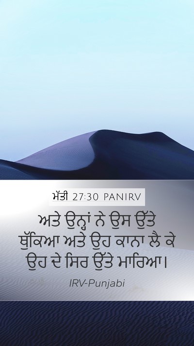 ਮੱਤੀ 27:30 PANIRV Bible Verse Image