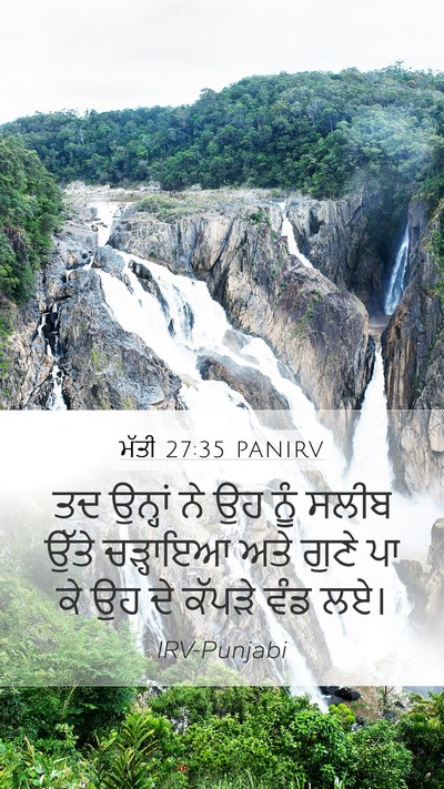 ਮੱਤੀ 27:35 PANIRV Bible Verse Image