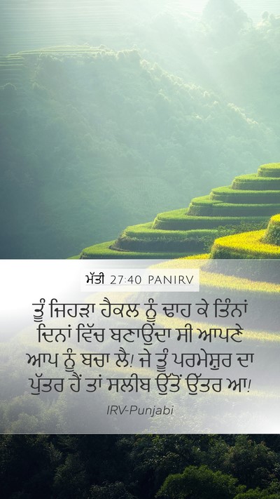ਮੱਤੀ 27:40 PANIRV Bible Verse Image