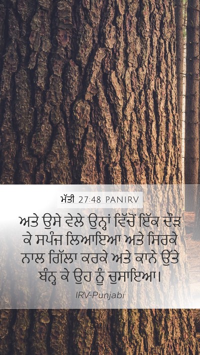 ਮੱਤੀ 27:48 PANIRV Mobile Phone Wallpaper - ਅਤੇ ਉਸੇ ਵੇਲੇ - Mobile Bible Verse Wallpaper