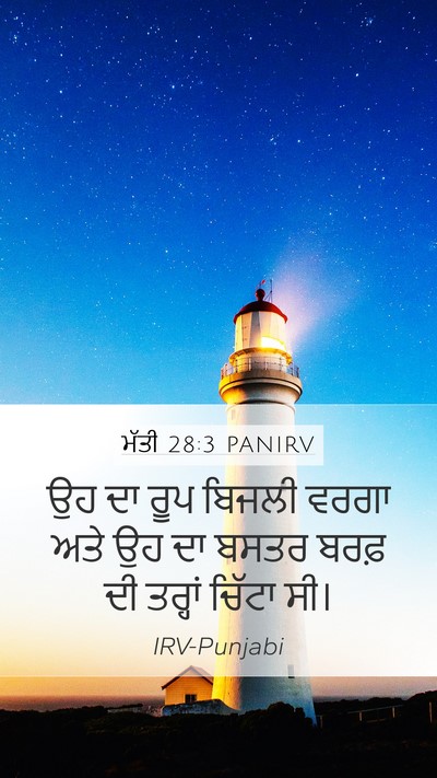 ਮੱਤੀ 28:3 PANIRV Bible Verse Image