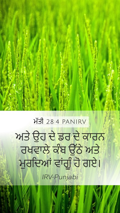 ਮੱਤੀ 28:4 PANIRV Mobile Phone Wallpaper - ਅਤੇ ਉਹ ਦੇ ਡਰ ਦੇ - Mobile Bible Verse Wallpaper
