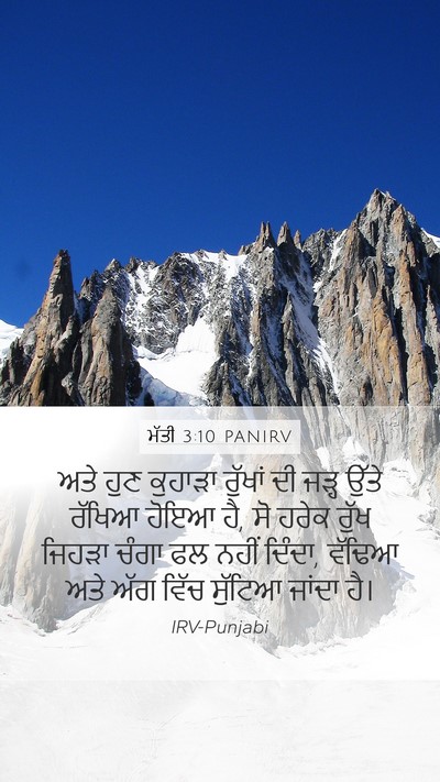 ਮੱਤੀ 3:10 PANIRV Bible Verse Image