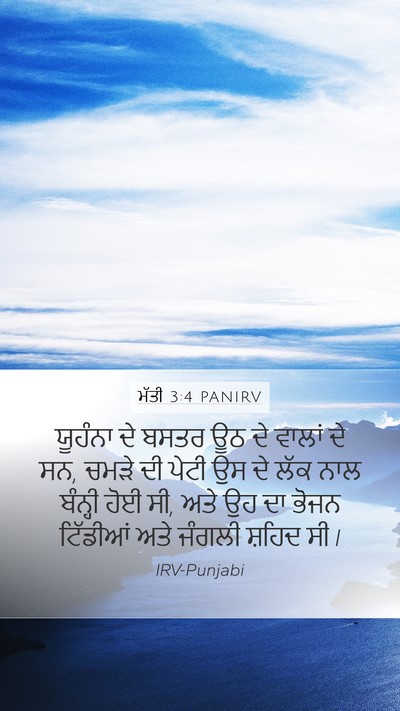 ਮੱਤੀ 3:4 PANIRV Bible Verse Image
