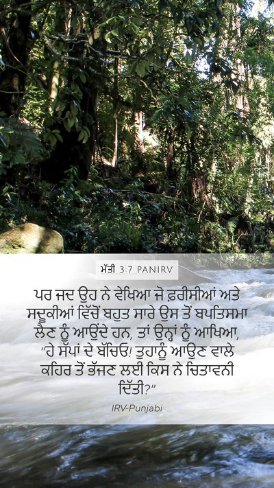 ਮੱਤੀ 3:7 PANIRV Bible Verse Image