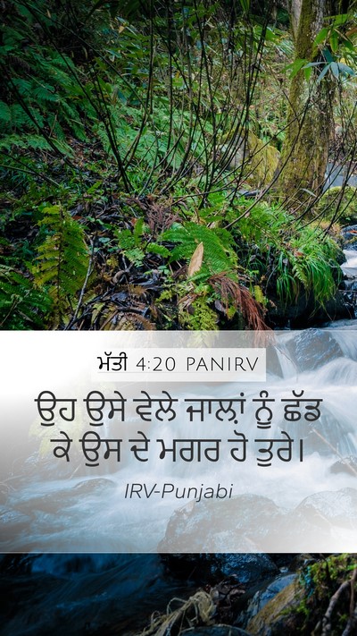 ਮੱਤੀ 4:20 PANIRV Bible Verse Image