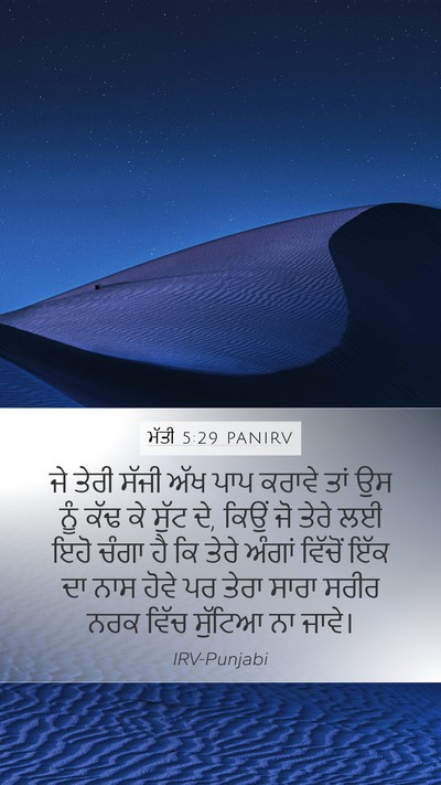 ਮੱਤੀ 5:29 PANIRV Bible Verse Image