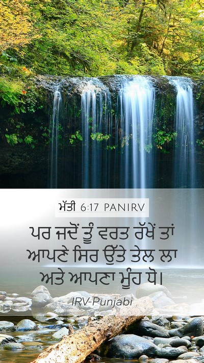 ਮੱਤੀ 6:17 PANIRV Mobile Phone Wallpaper - ਪਰ ਜਦੋਂ ਤੂੰ ਵਰਤ - Mobile Bible Verse Wallpaper