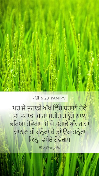 ਮੱਤੀ 6:23 PANIRV Bible Verse Image