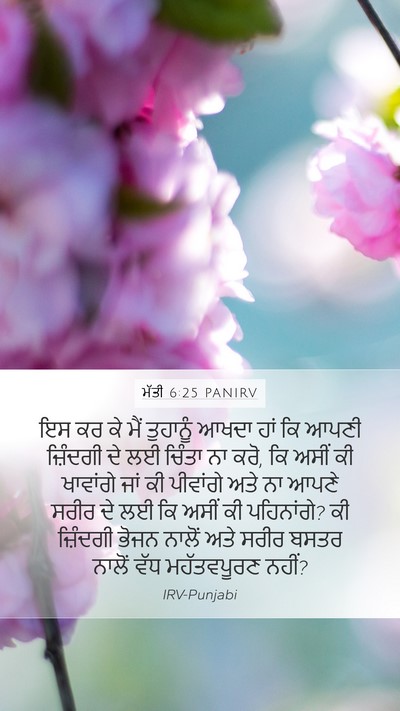ਮੱਤੀ 6:25 PANIRV Bible Verse Image