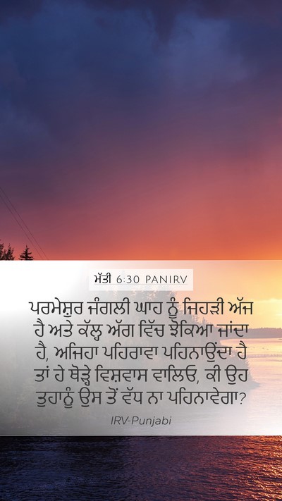 ਮੱਤੀ 6:30 PANIRV Bible Verse Image