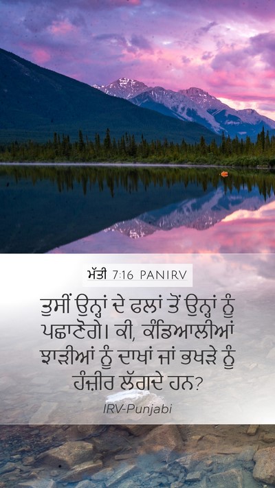 ਮੱਤੀ 7:16 PANIRV Bible Verse Image