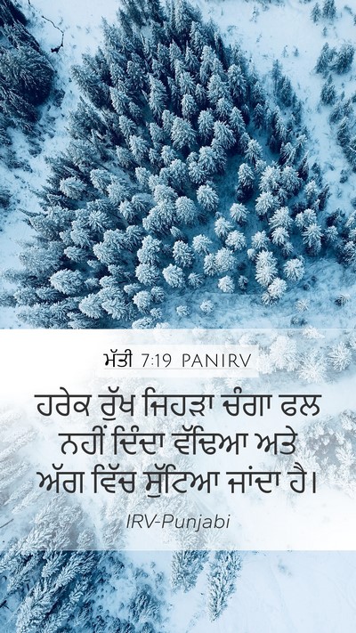 ਮੱਤੀ 7:19 PANIRV Bible Verse Image