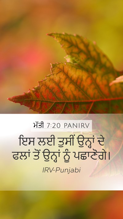ਮੱਤੀ 7:20 PANIRV Bible Verse Image