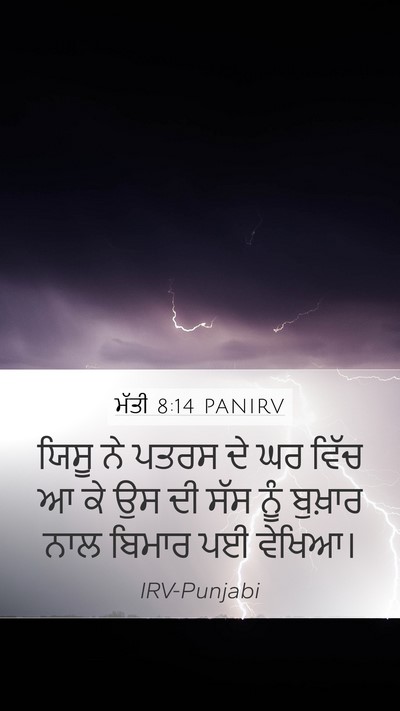 ਮੱਤੀ 8:14 PANIRV Bible Verse Image