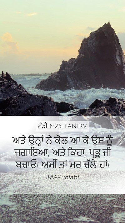 ਮੱਤੀ 8:25 PANIRV Mobile Phone Wallpaper - ਅਤੇ ਉਨ੍ਹਾਂ ਨੇ ਕੋਲ ਆ - Mobile Bible Verse Wallpaper
