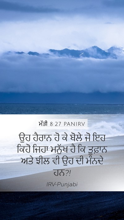ਮੱਤੀ 8:27 PANIRV Bible Verse Image
