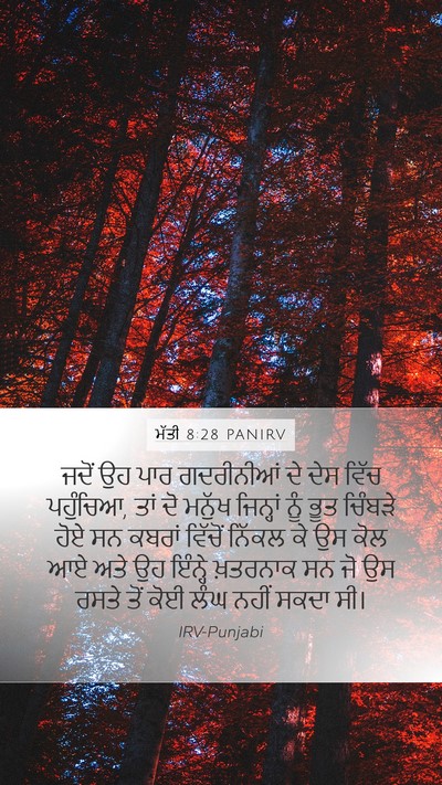 ਮੱਤੀ 8:28 PANIRV Bible Verse Image