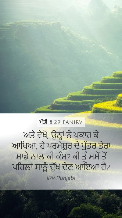 ਮੱਤੀ 8:29 PANIRV Bible Verse Image