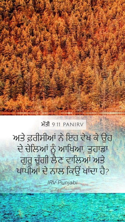 ਮੱਤੀ 9:11 PANIRV Bible Verse Image