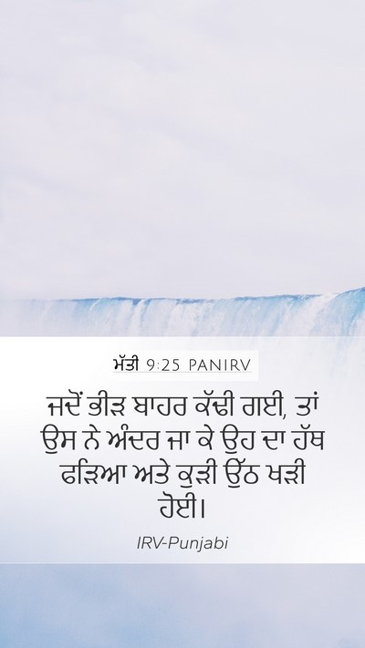 ਮੱਤੀ 9:25 PANIRV Bible Verse Image