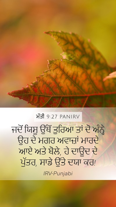 ਮੱਤੀ 9:27 PANIRV Bible Verse Image