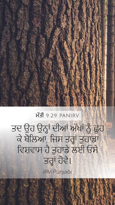 ਮੱਤੀ 9:29 PANIRV Bible Verse Image