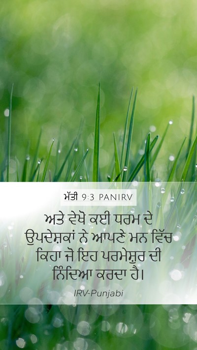 ਮੱਤੀ 9:3 PANIRV Mobile Phone Wallpaper - ਅਤੇ ਵੇਖੋ ਕਈ ਧਰਮ ਦੇ - Mobile Bible Verse Wallpaper
