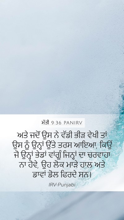 ਮੱਤੀ 9:36 PANIRV Bible Verse Image
