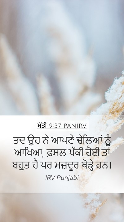 ਮੱਤੀ 9:37 PANIRV Bible Verse Image