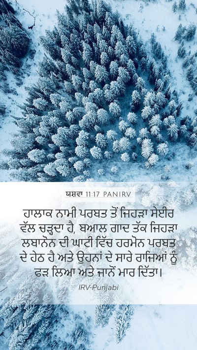 ਯਸ਼ਵਾ 11:17 PANIRV Bible Verse Image